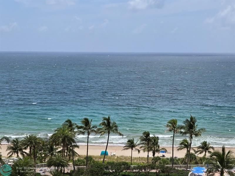 3100 N Ocean Blvd #1203, Fort Lauderdale, Florida image 2