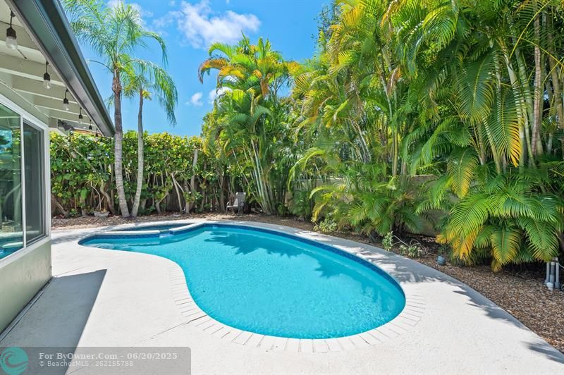 8 NE 29th St, Wilton Manors, Florida image 24