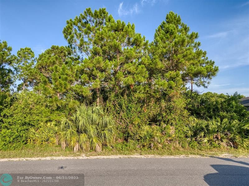 2778 Fling Ave Se, Palm Bay, Florida image 10