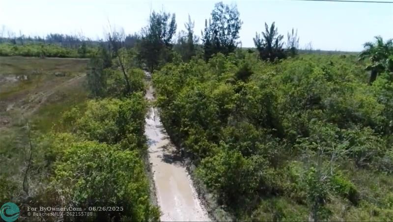 Unknown, Florida City, Florida image 11