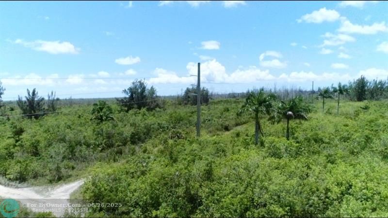 Unknown, Florida City, Florida image 6