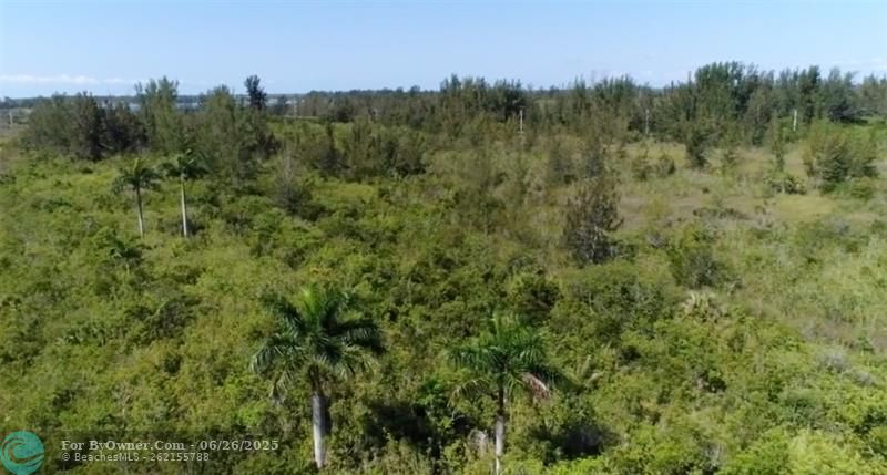 Unknown, Florida City, Florida image 9