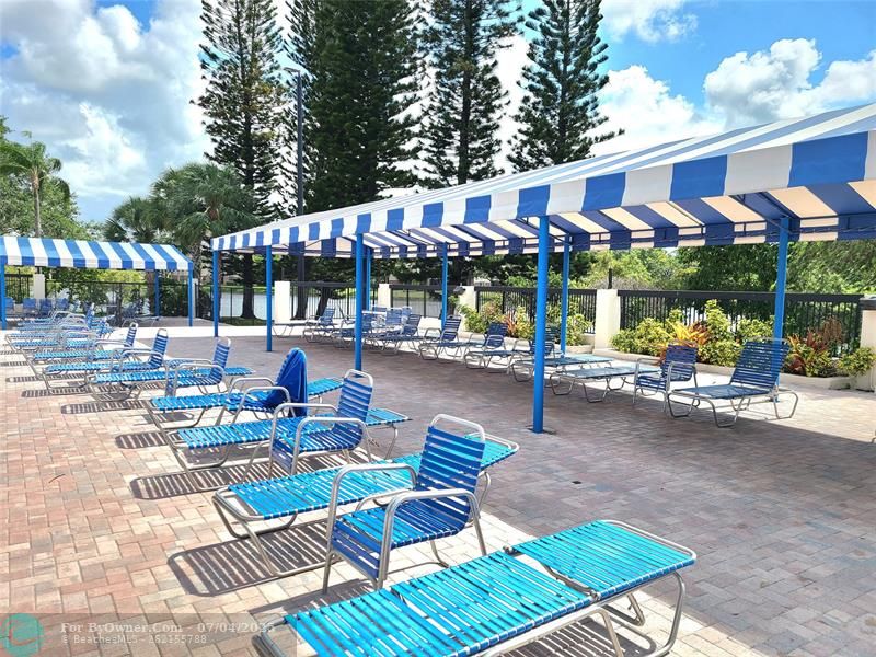 LOTS OF LOUNGE CHAIRS TO SOAK UP THE RAYS