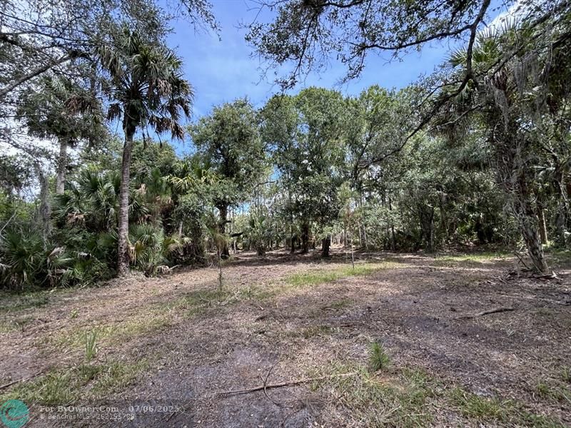 Unassigned, Palm City, Florida image 11