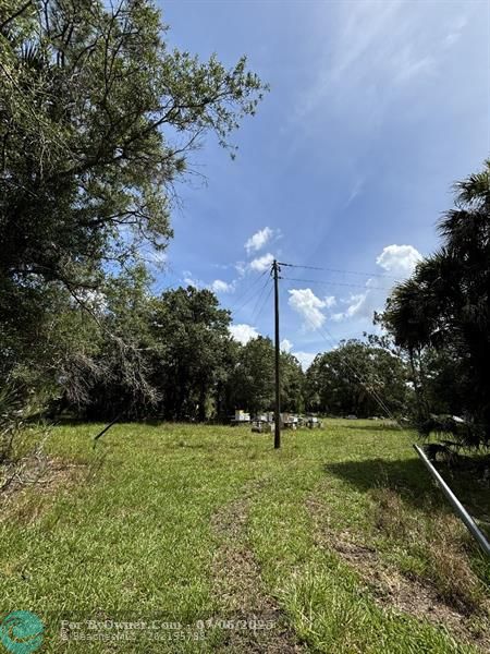 Unassigned, Palm City, Florida image 12