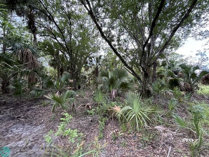Unassigned, Palm City, Florida image 13