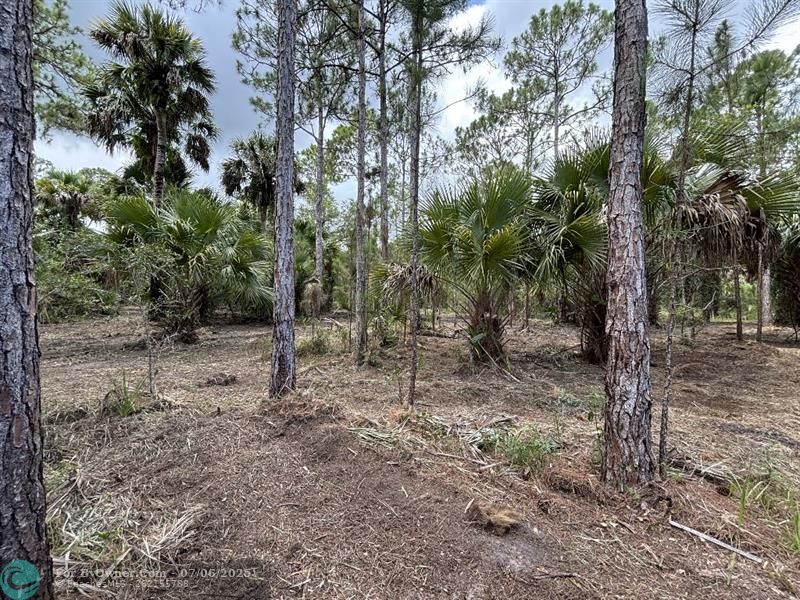 Unassigned, Palm City, Florida image 14