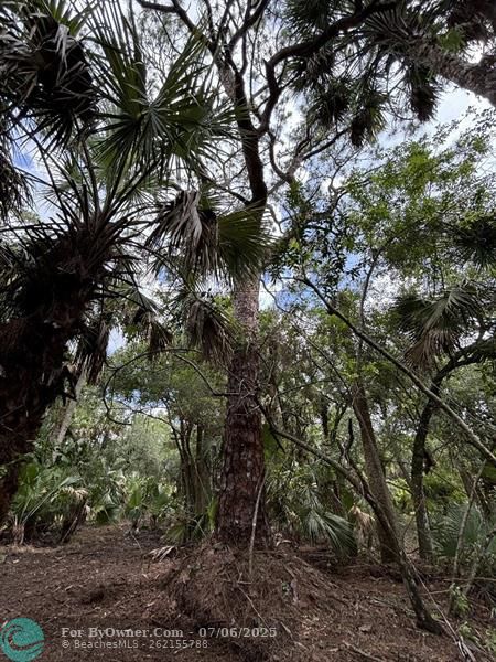 Unassigned, Palm City, Florida image 15