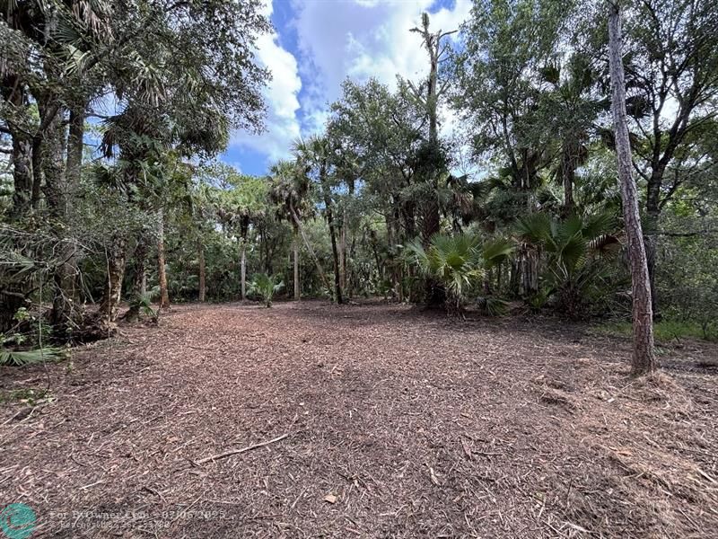 Unassigned, Palm City, Florida image 17