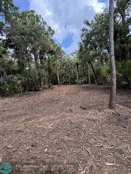 Unassigned, Palm City, Florida image 18