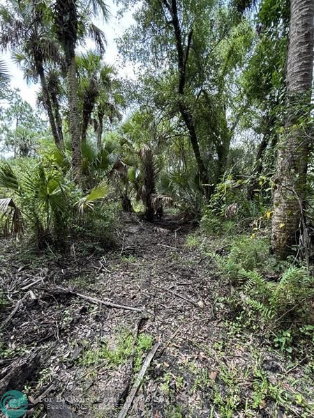 Unassigned, Palm City, Florida image 19
