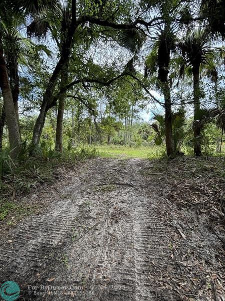 Unassigned, Palm City, Florida image 20