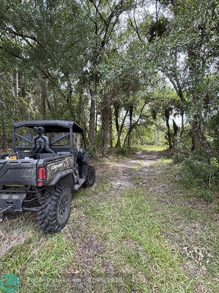 Unassigned, Palm City, Florida image 21