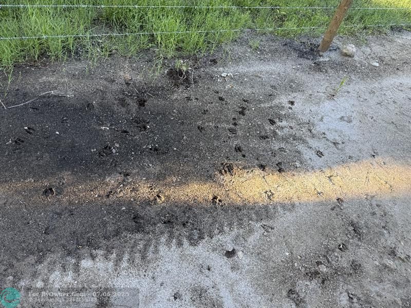Unassigned, Palm City, Florida image 6