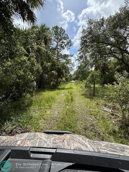 Unassigned, Palm City, Florida image 7