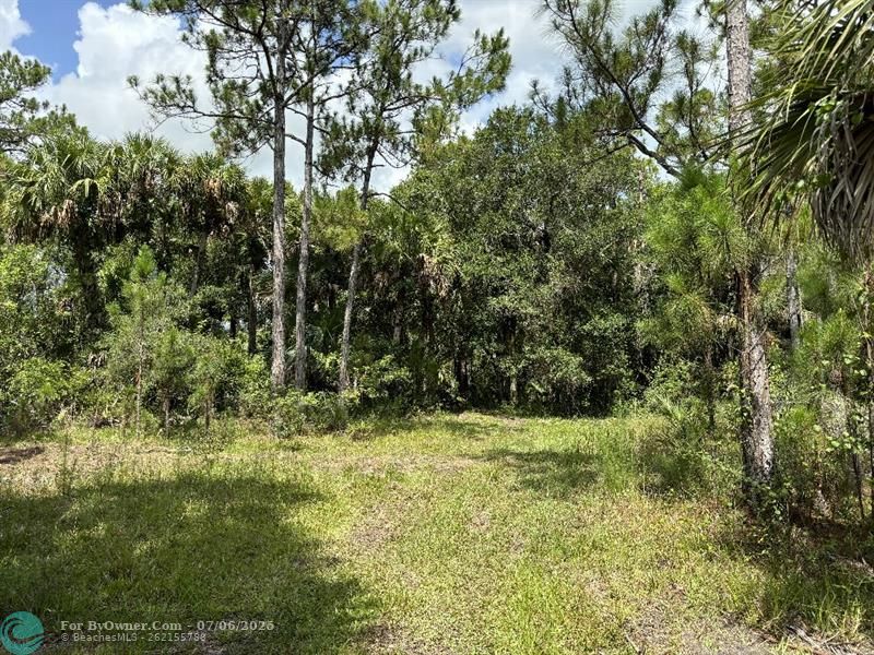 Unassigned, Palm City, Florida image 9