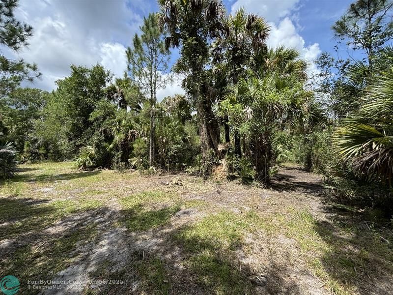 Unassigned, Palm City, Florida image 10