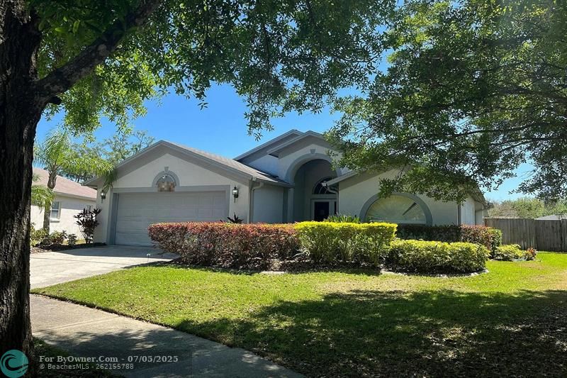 1209 Jolley Ct, Valrico, Florida image 3