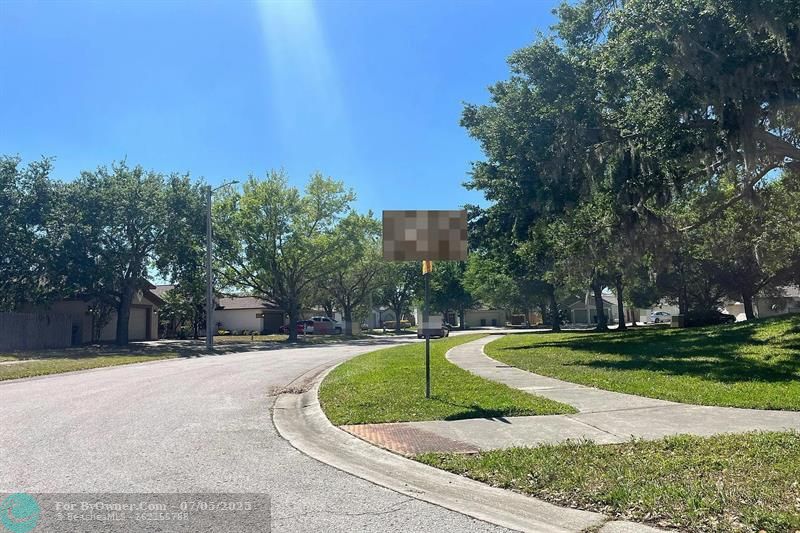 1209 Jolley Ct, Valrico, Florida image 7