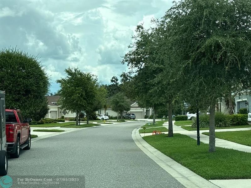17724 Bright Wheat Dr, Lithia, Florida image 5