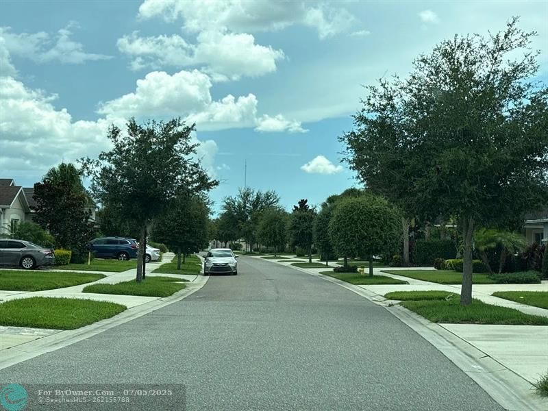 17724 Bright Wheat Dr, Lithia, Florida image 6