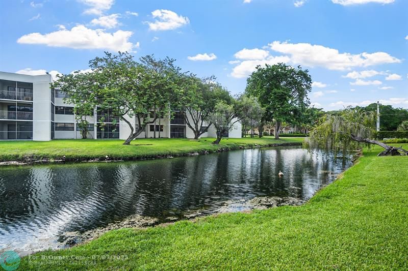 Canal View