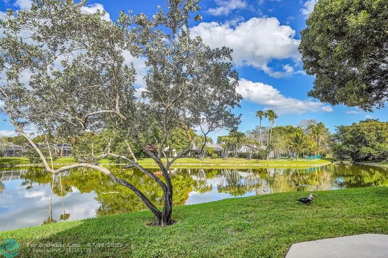 11441 NW 39th Ct #218, Coral Springs, Florida image 27