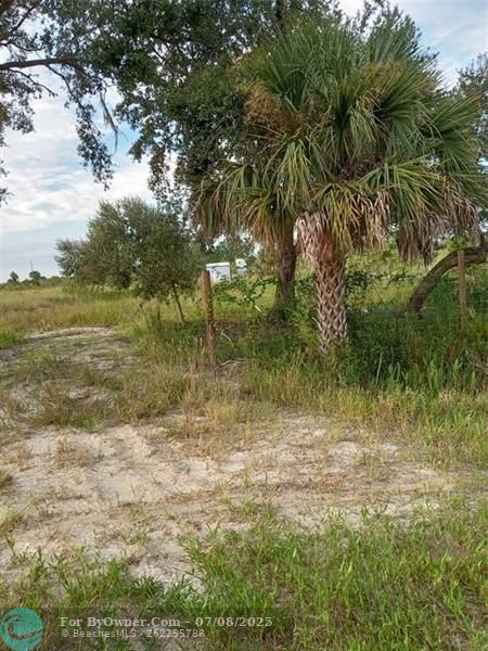 17925 NW 316th Street, Okeechobee, Florida image 4