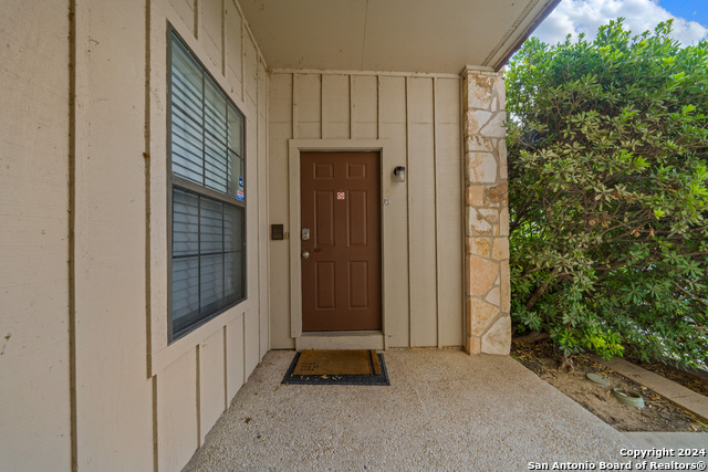 474 Seele St #6B, New Braunfels, Texas image 3
