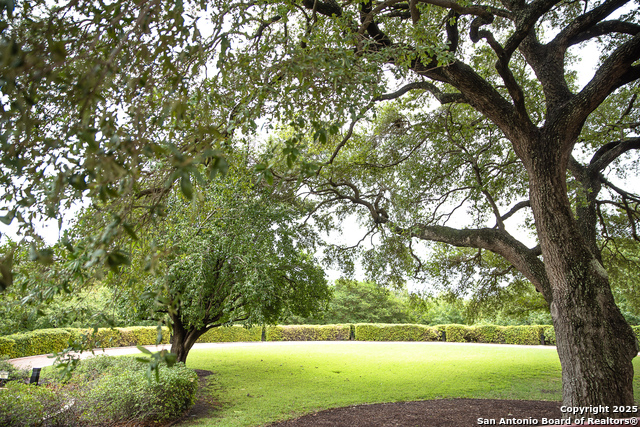 1 Towers Park Ln #207, San Antonio, Texas image 26