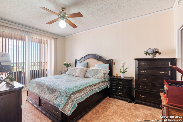 1 Towers Park Ln #513, San Antonio, Texas image 11