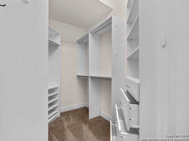 7342 Oak Manor #1307, San Antonio, Texas image 17