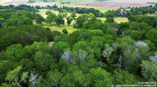 2550 York Creek Rd, New Braunfels, Texas image 10