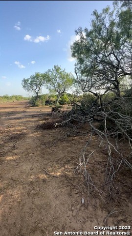 000 Adkins-st. Hedwig Road, Saint Hedwig, Texas image 28