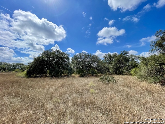284 County Road 6612, Devine, Texas image 26