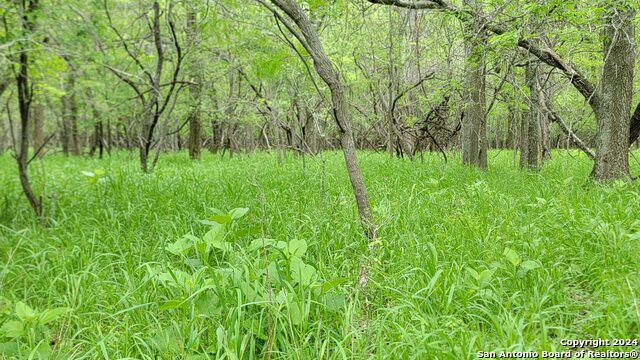 000 Hwy 80, Luling, Texas image 23
