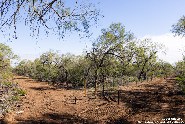 3 Fm 1581, Pearsall, Texas image 6