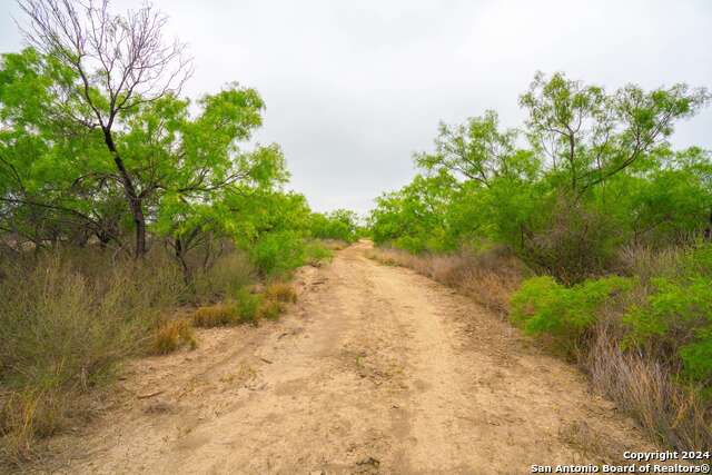16131 El Indio Hwy, El Indio, Texas image 15