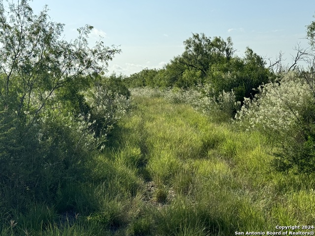 130 W Highway 72, Calliham, Texas image 2
