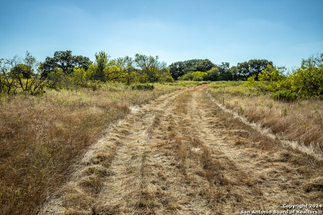 21123 Lamm Rd, Elmendorf, Texas image 16