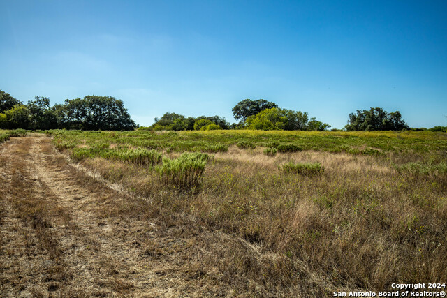 21123 Lamm Rd, Elmendorf, Texas image 17