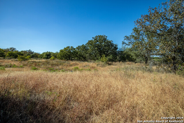 21123 Lamm Rd, Elmendorf, Texas image 33