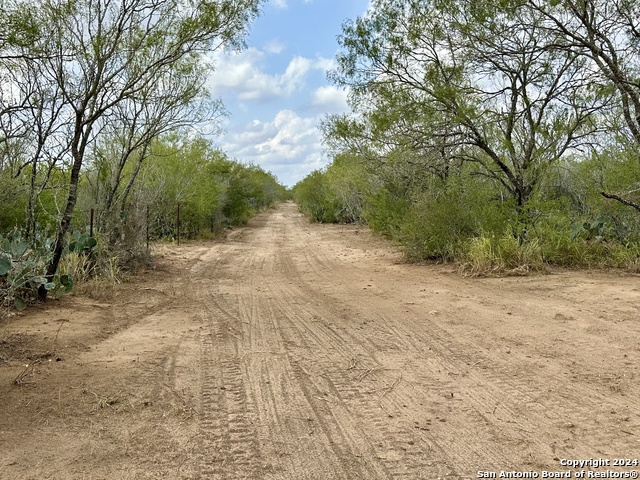 0000 Cr 421, Christine, Texas image 1