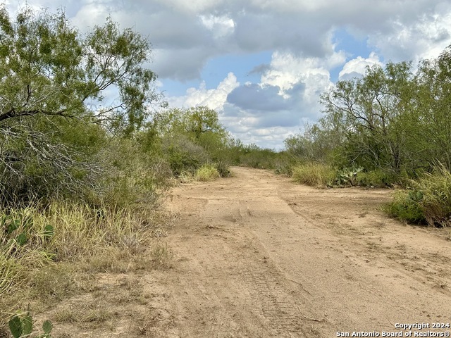 0000 Cr 421, Christine, Texas image 4
