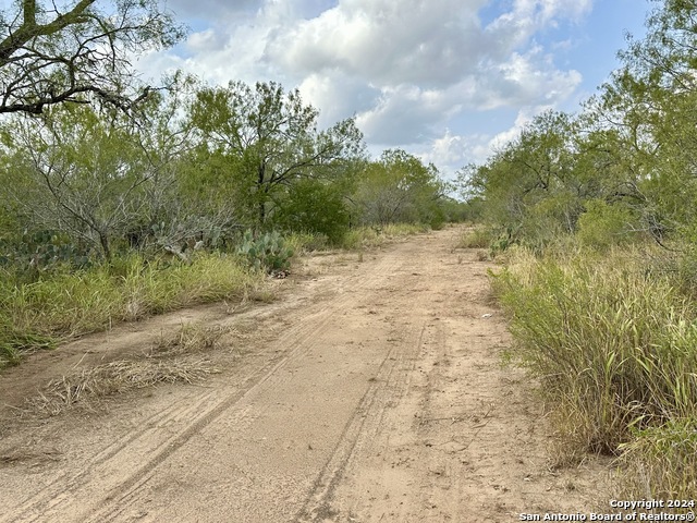 0000 Cr 421, Christine, Texas image 6