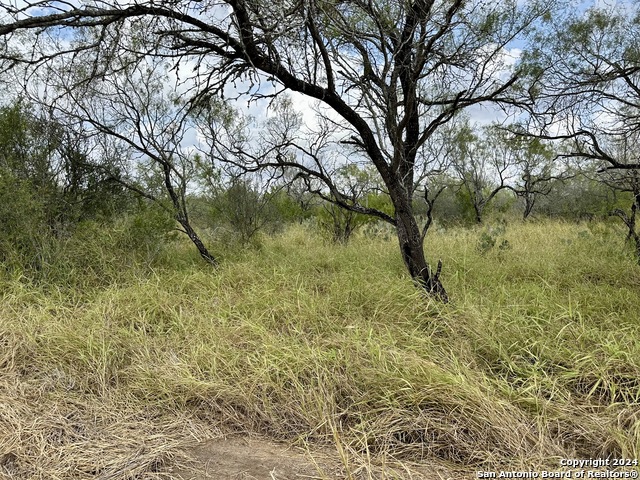 0000 Cr 421, Christine, Texas image 8