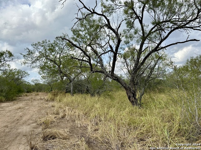 0000 Cr 421, Christine, Texas image 9