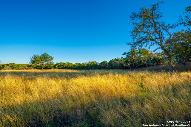 101 Bella Springs Rd, Boerne, Texas image 27