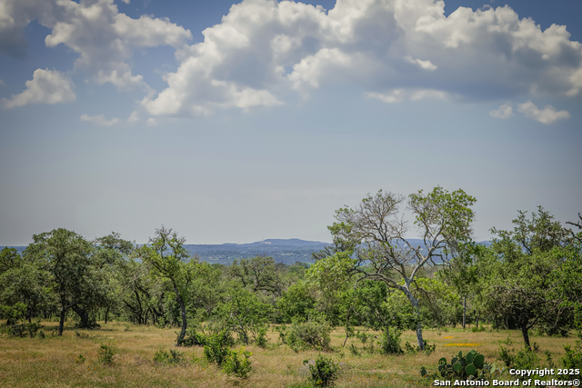 925 Fm 473, Boerne, Texas image 1
