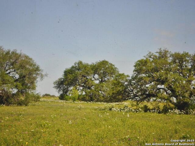 TBD Cr 2615, Devine, Texas image 1